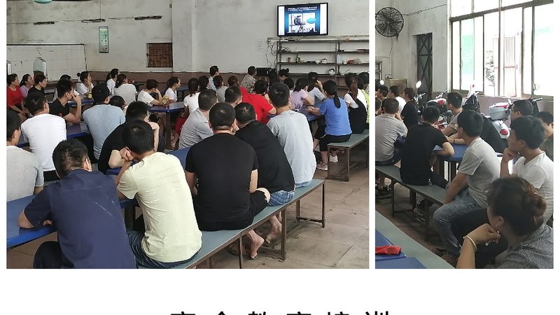 成人高考与自考：两种学历提升途径的全面解析